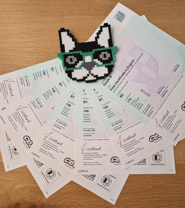 Certificados oficiales de Cambridge English – preparación en Huelva, Bulldog Learning Studio