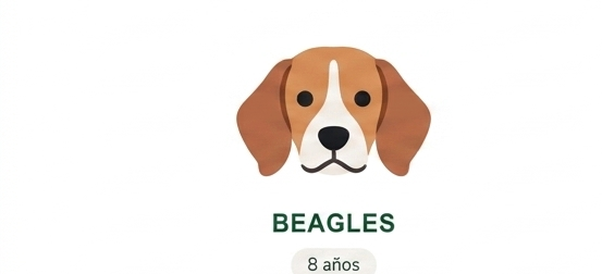 Beagle