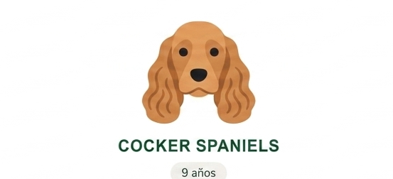 Cocker Spaniel