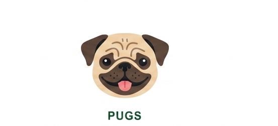 Pug