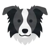 Grupo Border Collies