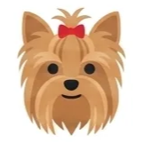 Grupo Yorkshire Terriers